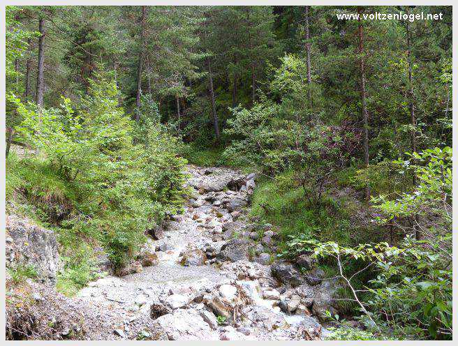 Pont Suspendu et Gorges du Strassberg à Mieming
