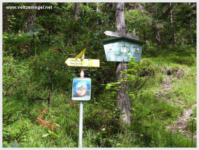 Pont Suspendu et Gorges du Strassberg à Mieming