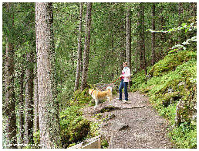 Vue panoramique du lac Piburgersee au cœur des Alpes autrichiennes.