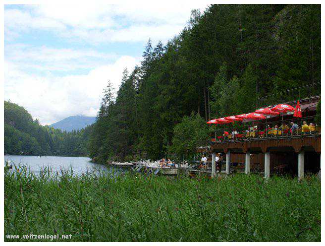 Vue panoramique du lac Piburgersee au cœur des Alpes autrichiennes.