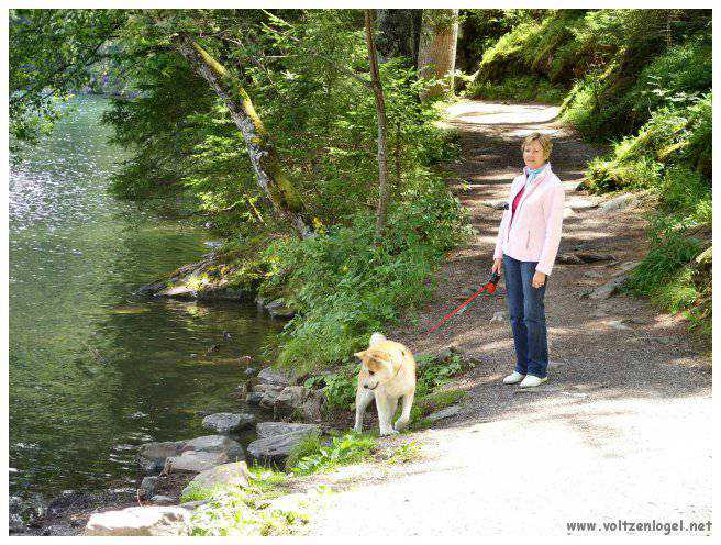Vue panoramique du lac Piburgersee au cœur des Alpes autrichiennes.