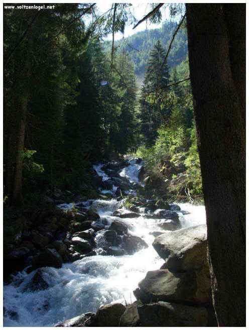 Cascade majestueuse de Stuibenfall dans l'Oetztal Tyrolien