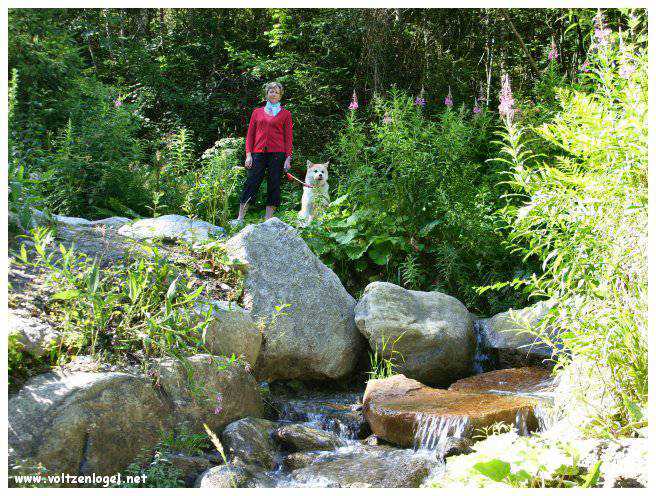 Cascade majestueuse de Stuibenfall dans l'Oetztal Tyrolien
