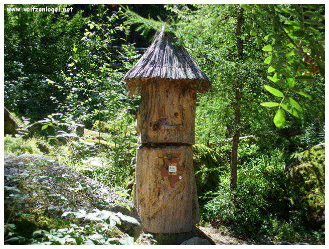 Musée Ötzi, plongée dans l'histoire préhistorique de l'homme des glaces