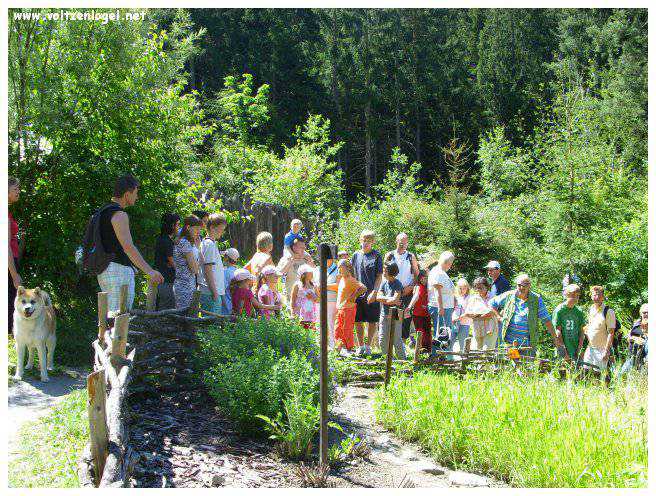 Musée Ötzi, plongée dans l'histoire préhistorique de l'homme des glaces