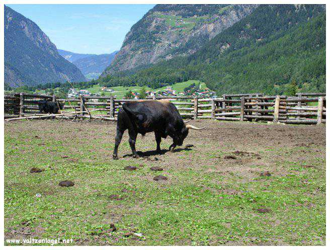 Musée Ötzi, plongée dans l'histoire préhistorique de l'homme des glaces