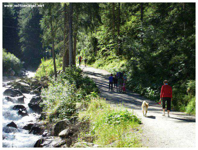 Cascade majestueuse de Stuibenfall dans l'Oetztal Tyrolien