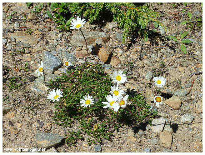 Vue majestueuse sur les sommets alpins de la Vallée Ötztal.