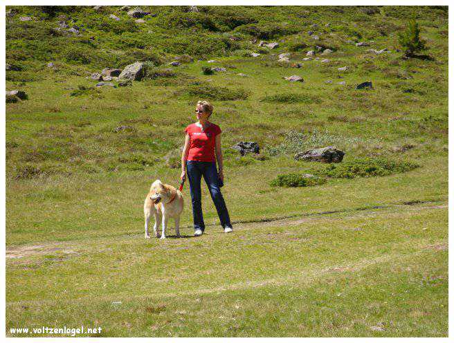 Vue majestueuse sur les sommets alpins de la Vallée Ötztal.