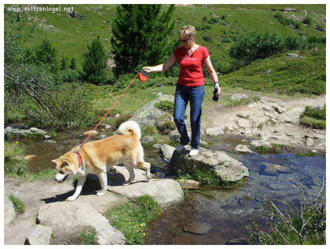 Vue majestueuse sur les sommets alpins de la Vallée Ötztal.