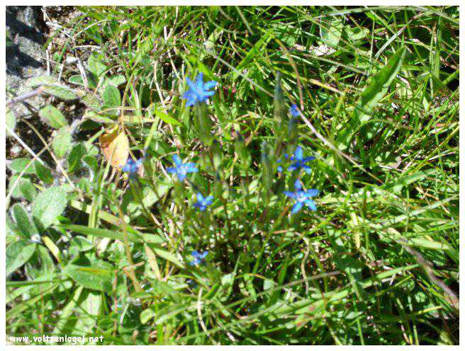 Vue majestueuse sur les sommets alpins de la Vallée Ötztal.