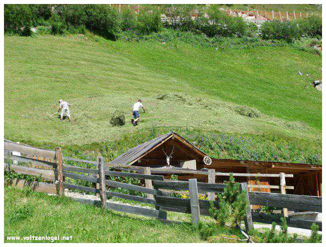 Vue majestueuse sur les sommets alpins de la Vallée Ötztal.