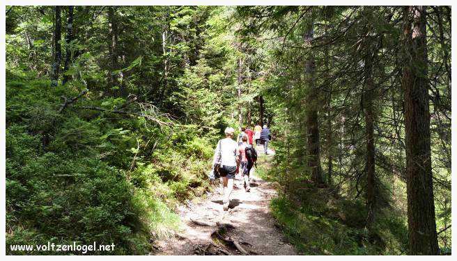Randonnée de Pertisau à Gaisalm en longeant le lac Achensee