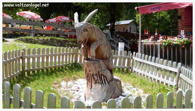 Randonnée de Pertisau à Gaisalm en longeant le lac Achensee