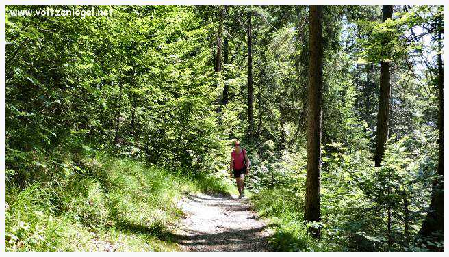Week-end randonnées au bord du lac Achensee