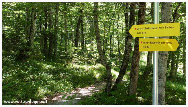 Vue panoramique sur les vallées verdoyantes du Karwendel depuis la ferme auberge Gramai-Alm à Pertisau.