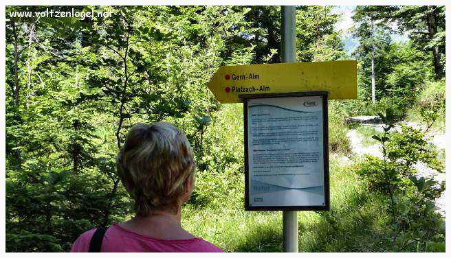 Vue panoramique sur les vallées verdoyantes du Karwendel depuis la ferme auberge Gramai-Alm à Pertisau.