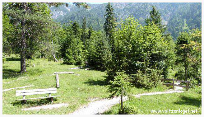 Vue panoramique sur les vallées verdoyantes du Karwendel depuis la ferme auberge Gramai-Alm à Pertisau.