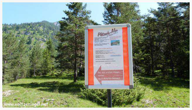 Vue panoramique sur les vallées verdoyantes du Karwendel depuis la ferme auberge Gramai-Alm à Pertisau.