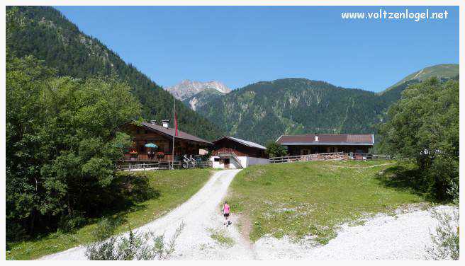 Vue panoramique sur les vallées verdoyantes du Karwendel depuis la ferme auberge Gramai-Alm à Pertisau.