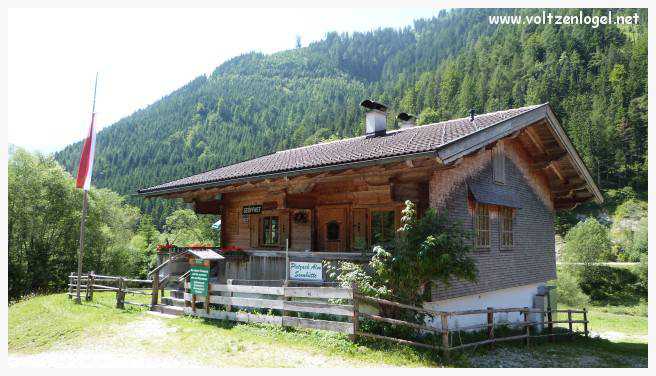 Vue panoramique sur les vallées verdoyantes du Karwendel depuis la ferme auberge Gramai-Alm à Pertisau.