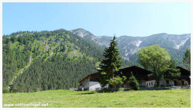 Vue panoramique sur les vallées verdoyantes du Karwendel depuis la ferme auberge Gramai-Alm à Pertisau.