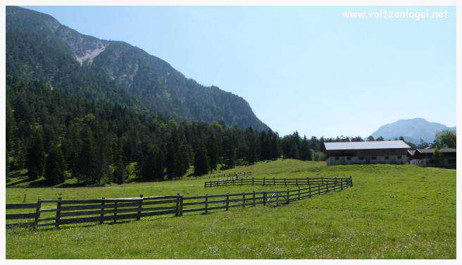 Vue panoramique sur les vallées verdoyantes du Karwendel depuis la ferme auberge Gramai-Alm à Pertisau.