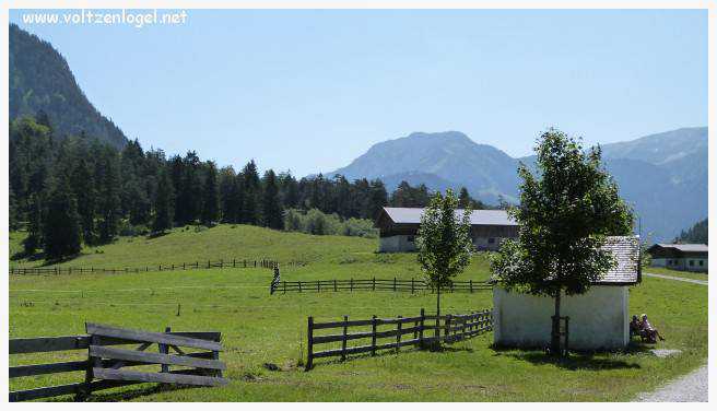 Vue panoramique sur les vallées verdoyantes du Karwendel depuis la ferme auberge Gramai-Alm à Pertisau.