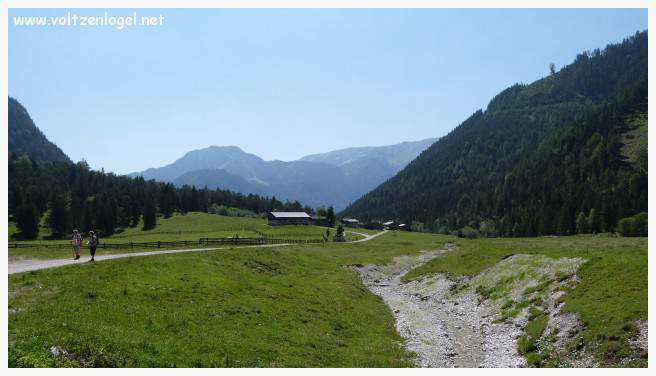 Vue panoramique sur les vallées verdoyantes du Karwendel depuis la ferme auberge Gramai-Alm à Pertisau.