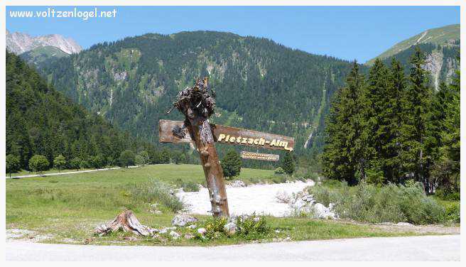 Vue panoramique sur les vallées verdoyantes du Karwendel depuis la ferme auberge Gramai-Alm à Pertisau.