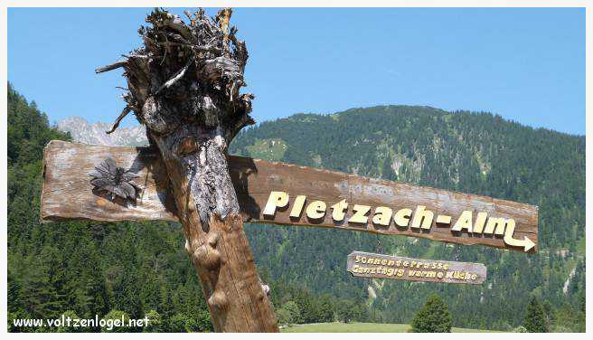 Vue panoramique sur les vallées verdoyantes du Karwendel depuis la ferme auberge Gramai-Alm à Pertisau.