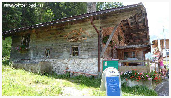 Vue panoramique sur les vallées verdoyantes du Karwendel depuis la ferme auberge Gramai-Alm à Pertisau.