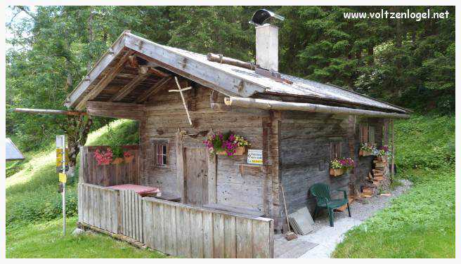 Vue panoramique sur les vallées verdoyantes du Karwendel depuis la ferme auberge Gramai-Alm à Pertisau.