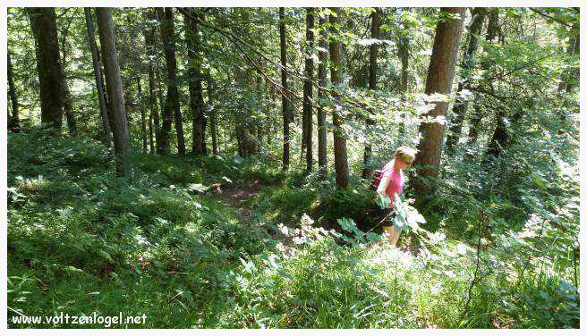 Vue panoramique sur les vallées verdoyantes du Karwendel depuis la ferme auberge Gramai-Alm à Pertisau.