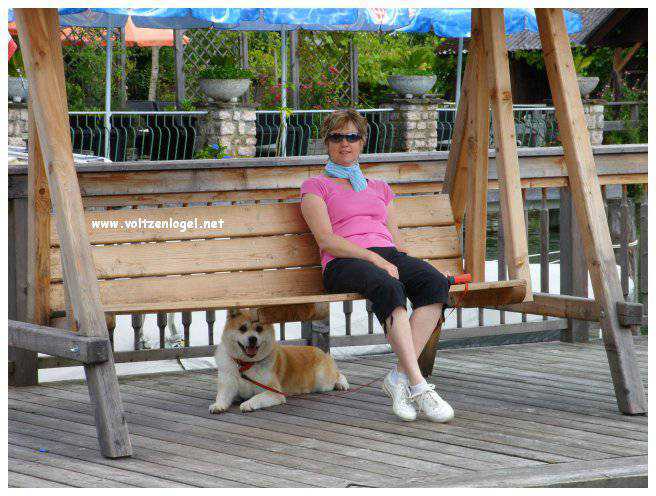 Paysage pittoresque d'Unterach et Seewalchen au bord du lac Attersee en Autriche