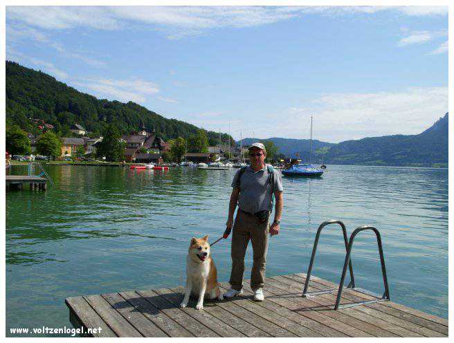 Paysage pittoresque d'Unterach et Seewalchen au bord du lac Attersee en Autriche