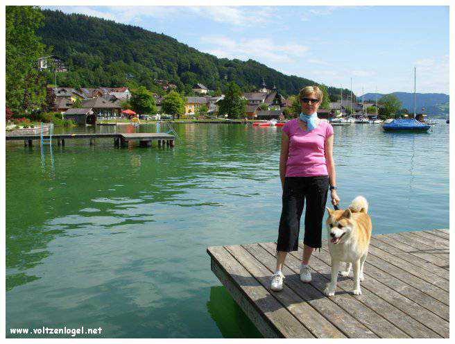 Paysage pittoresque d'Unterach et Seewalchen au bord du lac Attersee en Autriche