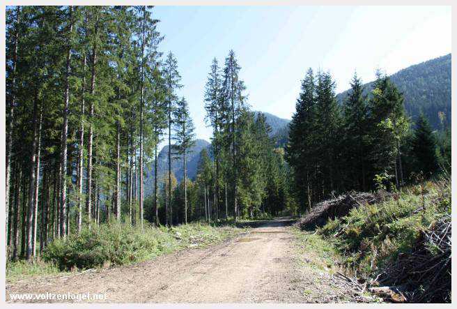 Exploration des trésors cachés de Gosau dans le Salzkammergut.