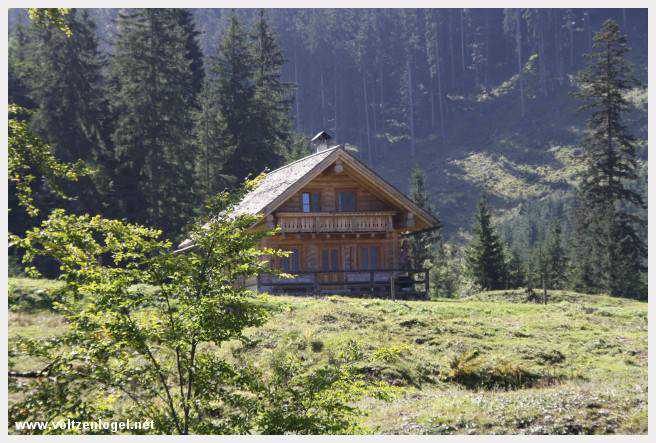 Exploration des trésors cachés de Gosau dans le Salzkammergut.