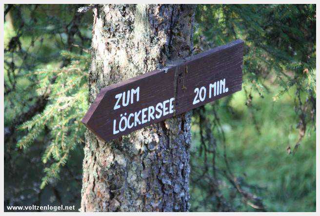 Exploration des trésors cachés de Gosau dans le Salzkammergut.