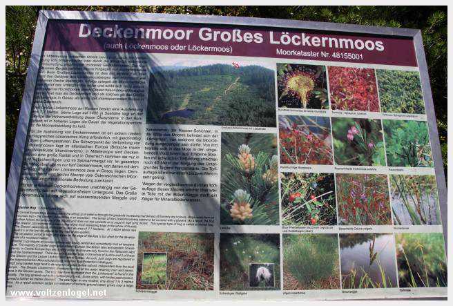 Exploration des trésors cachés de Gosau dans le Salzkammergut.