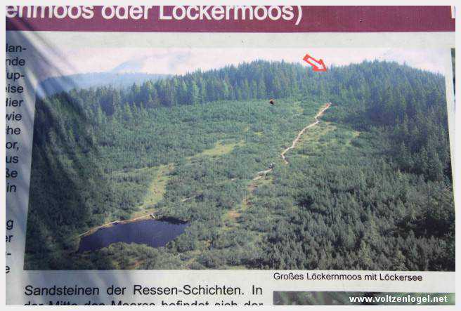 Exploration des trésors cachés de Gosau dans le Salzkammergut.