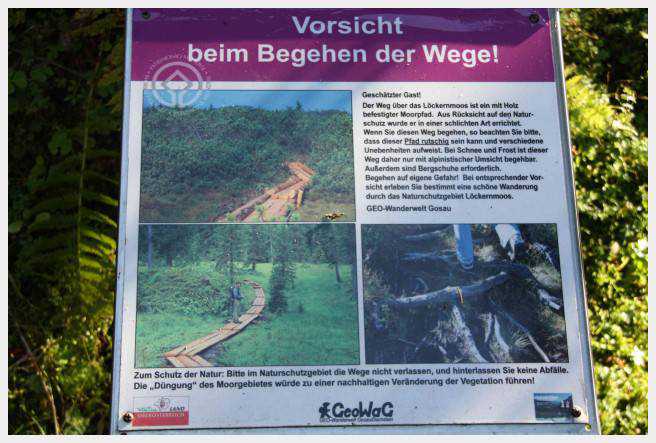 Exploration des trésors cachés de Gosau dans le Salzkammergut.