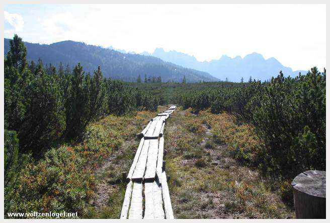 Exploration des trésors cachés de Gosau dans le Salzkammergut.
