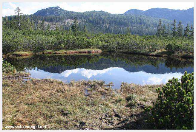 Exploration des trésors cachés de Gosau dans le Salzkammergut.