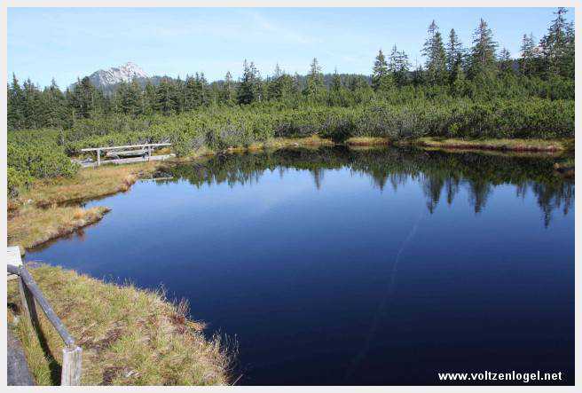 Exploration des trésors cachés de Gosau dans le Salzkammergut.