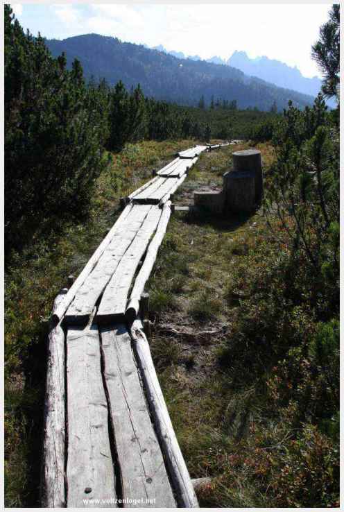 Exploration des trésors cachés de Gosau dans le Salzkammergut.