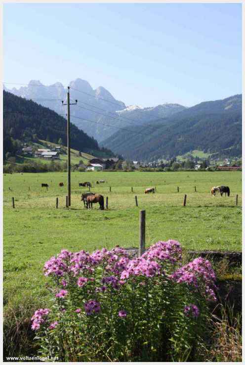 Exploration des trésors cachés de Gosau dans le Salzkammergut.