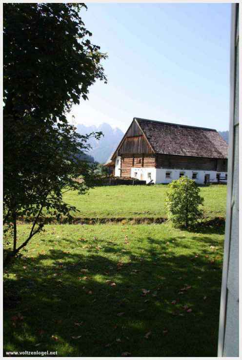Exploration des trésors cachés de Gosau dans le Salzkammergut.