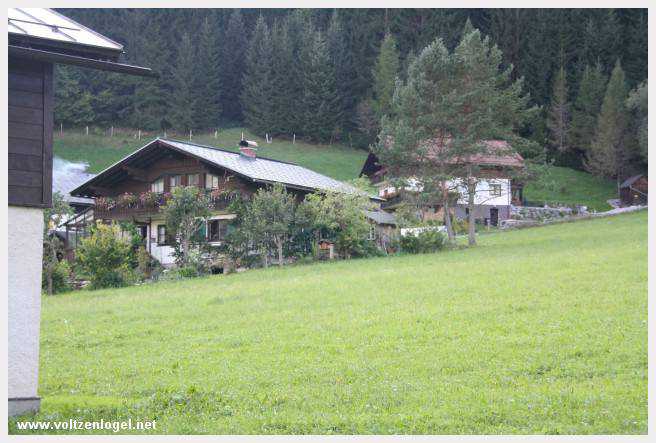 Exploration des trésors cachés de Gosau dans le Salzkammergut.